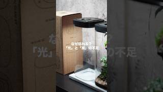 Logic is Beauty.｜テラリウムをシステムで管理する。 #terrarium #shorts #desksetup
