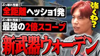 新武器「ウォーデン」ガチでぶっ壊れ性能すぎ!!まさかヴァンダル終了!?【VALORANT】