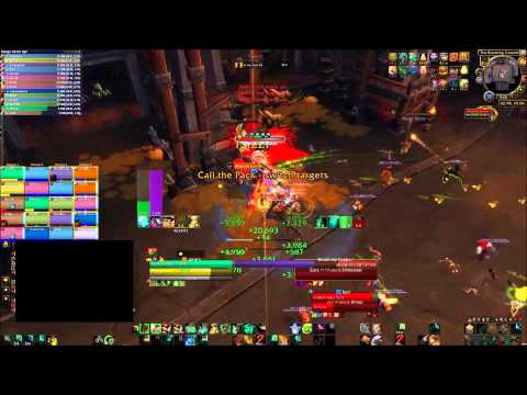 Beastlord Darmac - Mythic - Tank PoV