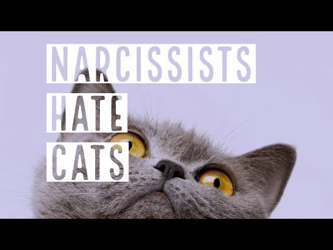 Narcissists Hate Cats