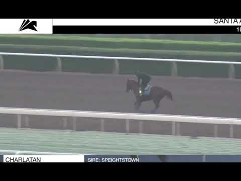 Charlatan is coming back