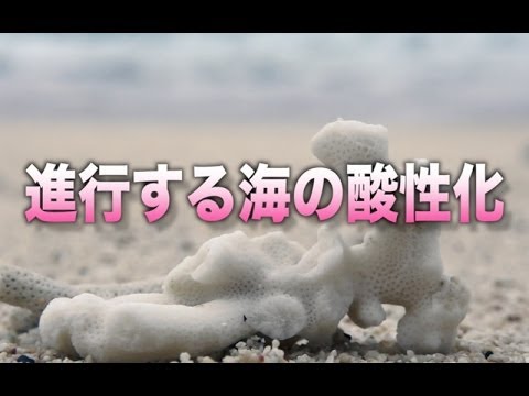 酸性化による海氷の減少