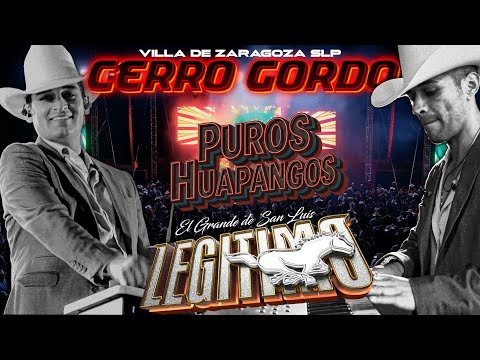 🎺 ¡Puro huapango con el Grande de San Luis! Grupo Legítimo en vivo 🔥  Cerro Gordo, Villa de Zaragoza
