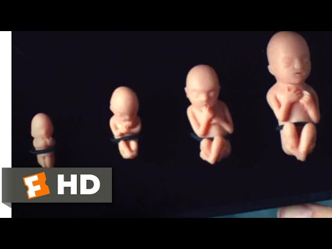 Lady Bird (2017) - The Abortion Seminar Scene (6/10) | Movieclips