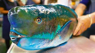 Download lagu Japan Street Food - GIANT HUMPHEAD PARROTFISH Sashimi Okinawa Japanese mp3 Download lagu Japan Street Food - GIANT HUMPHEAD PARROTFISH Sashimi Okinawa Japanese mp3
