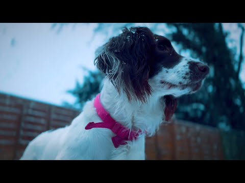 Hood Poet - BORN 2 WIN [Music Video]