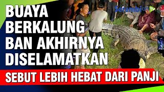 Download lagu VIDEO   Buaya Berkalung Ban Akhirnya Diselamatkan, Buaya Terlilit Ban Sudah Bertahun tahun mp3 Download lagu VIDEO   Buaya Berkalung Ban Akhirnya Diselamatkan, Buaya Terlilit Ban Sudah Bertahun tahun mp3