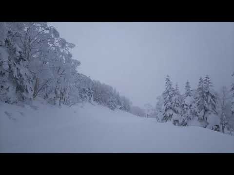 竜王スキーパーク スカイランドAコース パウダーを堪能しながら滑走 2019.1.21