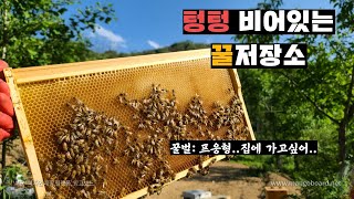 도저히 못버티고 벌들 데리고 내려왔습니다. 심각한 꿀 상태.