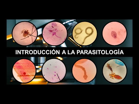 INTRODUCCIÓN A PARASITOLOGÍA: Generalidades, clasificación, tipos de huéspedes y mecanismos de daño
