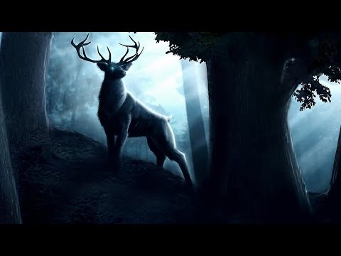 RUIDOS BOSQUE la NOCHE • Grillos Búhos Lluvia Viento • Ruido Blanco para Relajarse Estudiar y Dormir