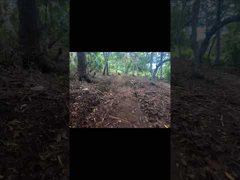 🌿 ¡SE VENDE TERRENO AGRÍCOLA – 73 MANZANAS TACUBA AHUACHAPAN - El SALVADOR! 🌿