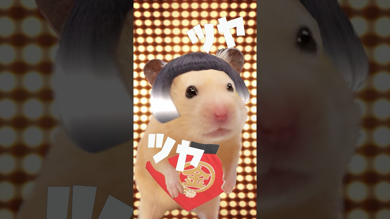 "HamPacino Kintaro Candy"  Scene5 #short #hampacino #mikuhatsune #hamsters #ハムパチーノ