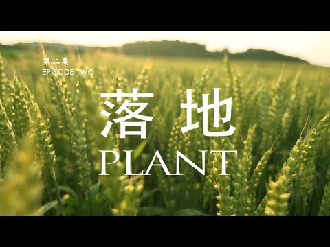 MISSIONARY EPISODE TWO - PLANT