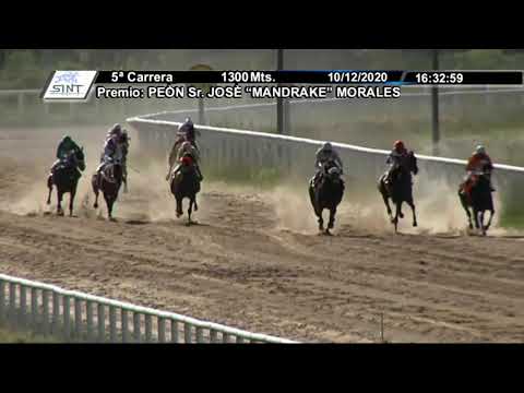 201210 c05 1° MASCHERANA LOBITAULTRON (BRZ) - SINT MELO