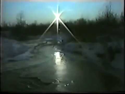 Nad Teslicem poletjela ptica