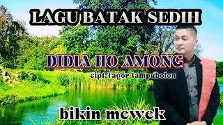 Download lagu DIDIA HO AMONG cipt:Tagor Tampubolon mp3