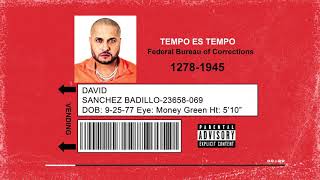 El Pulpo Lyrics English Translation