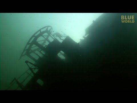 River of Wrecks | JONATHAN BIRD'S BLUE WORLD