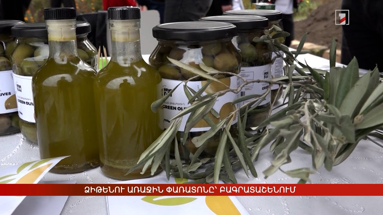 Ձիթենու առաջին փառատոնը՝ Բագրատաշենում