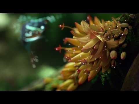 Samsung nuotolinio valdymo pultelis video