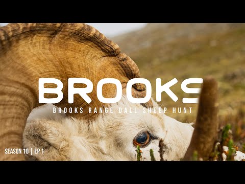 Brooks Range Dall Sheep Hunt: The Mountains #themountainproject #sheephunt #alaska