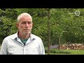 Gelderland Helpt: Begint u ook een Bed&Breakfast voor bijen?