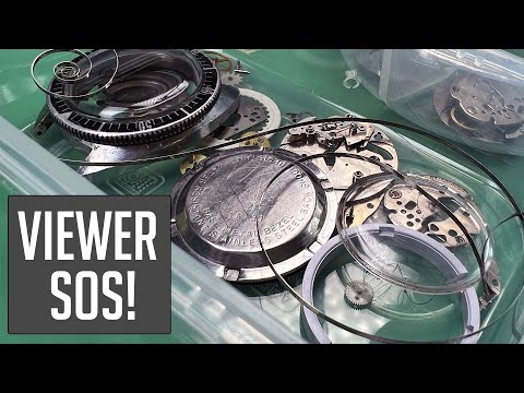 A Viewer Sent Me His Watchmaking Mishap, Can I Salvage the Project?