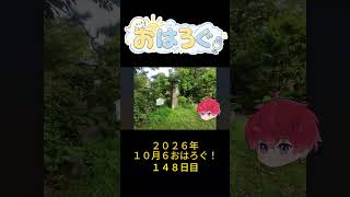 静かな場所って、それだけで少し落ち着く。｜10月6日のおはろぐ146日目