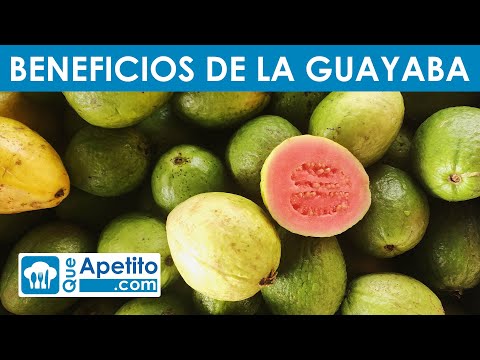 8 Properties and Benefits of Guava | QueApetito
