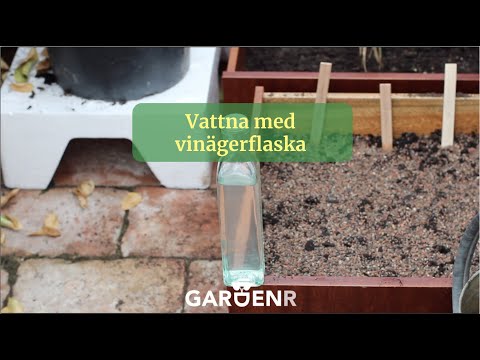 Vattna med vinägerflaska - Trädgårdshacks med GardenR