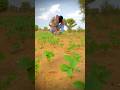 Farming Video WhatsApp Video My New Editing Video Zamidar Khetibadi Status Vrial