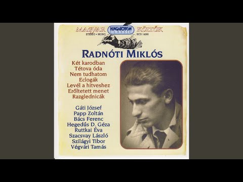 Töredék (Hatodik ecloga)