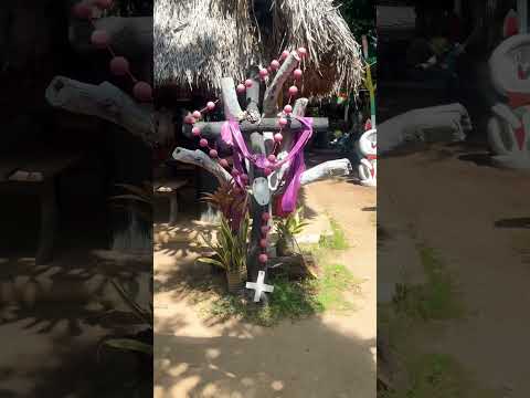 UN LUGAR ESPECIAL EN LA SABANA SUCREÑA. Queda en GALERAS SUCRE