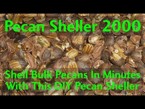 Shell bulk pecans in minutes with this Automatic Pecan Sheller at AutomationDirect