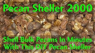 Shell bulk pecans in minutes with this Automatic Pecan Sheller at AutomationDirect