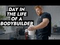 Day In The Life of a IFBB Pro Bodybuilder