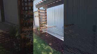DIY Hammock Pergola! #diy 