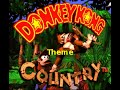 Donkey Kong Country Soundtrack SPC