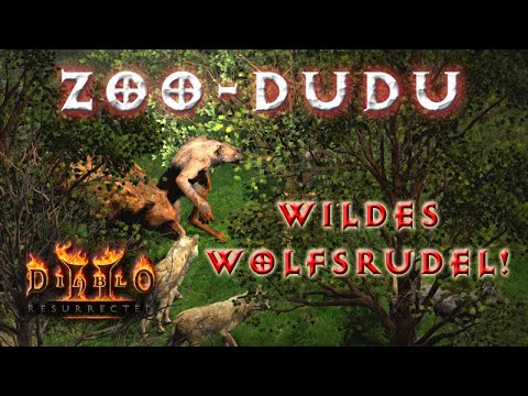 Wildes Wolfsrudel! Budget & High End Summoner-Druide / Zoo-Dudu [Diablo 2 Resurrected Char Guide]