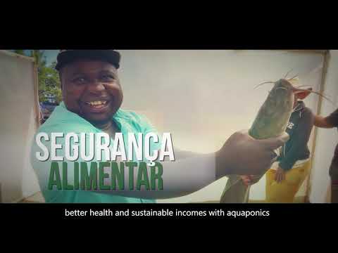 Sustainability & Food Security for the Amazon-BR