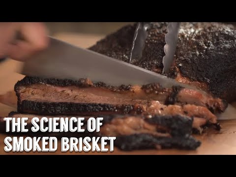 "The Science of Smoked Brisket" by George Motz