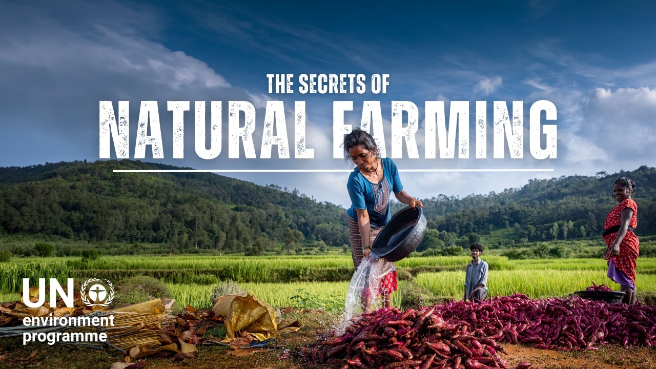 Restoring soil, restoring lives: India’s Natural Farming breakthrough