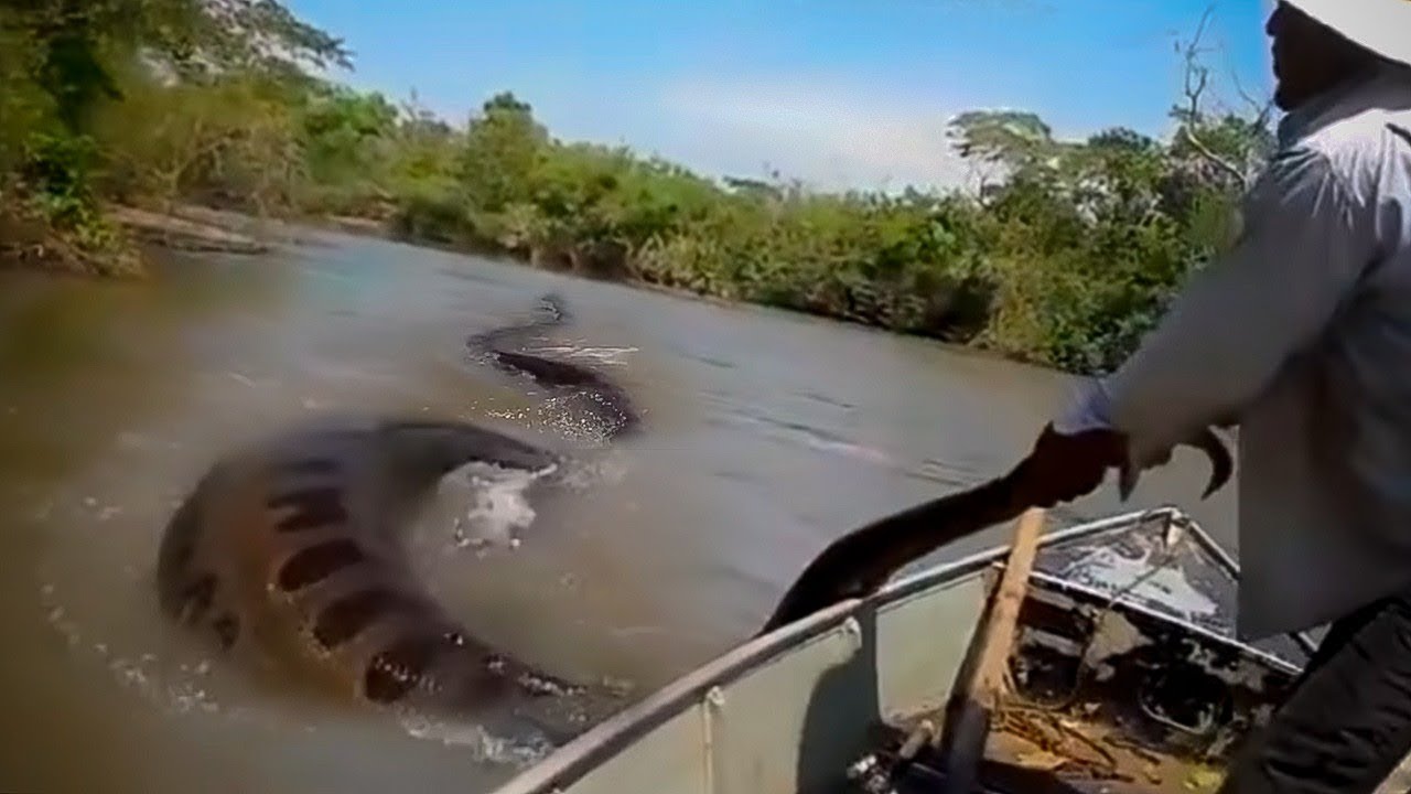 POR QUE O RIO AMAZONAS CRIA MONSTROS