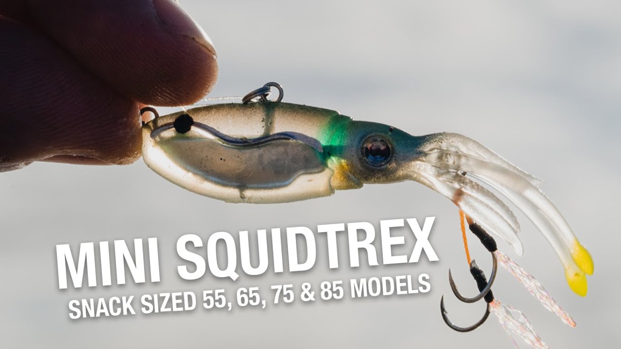 Nomad Squidtrex 65 Vibe 65mm - 8g video thumbnail