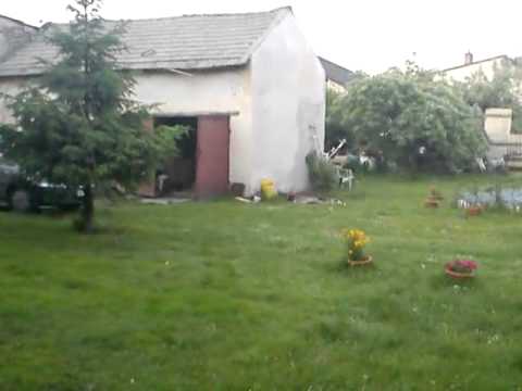 Tak się bawią na Preczowie!