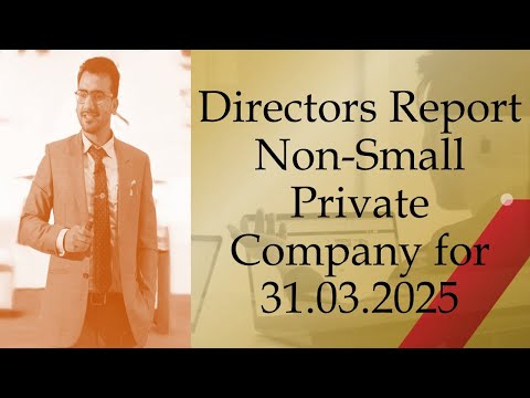 Directors Report Non Small Private Company