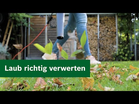 Garten-Wissen: So kannst du Laub sinnvoll verwerten