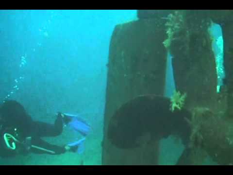 Jill Eber diving with the sharks in Fiji (June 2011)