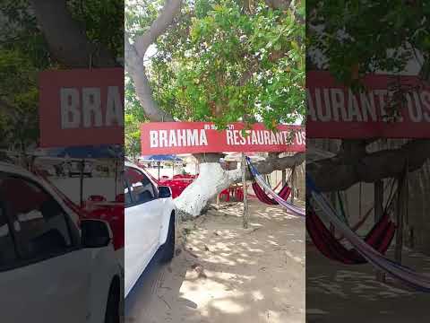 Rei da Mariscada Jardim-Fortim-Ceara